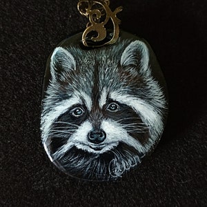 A Raccoon