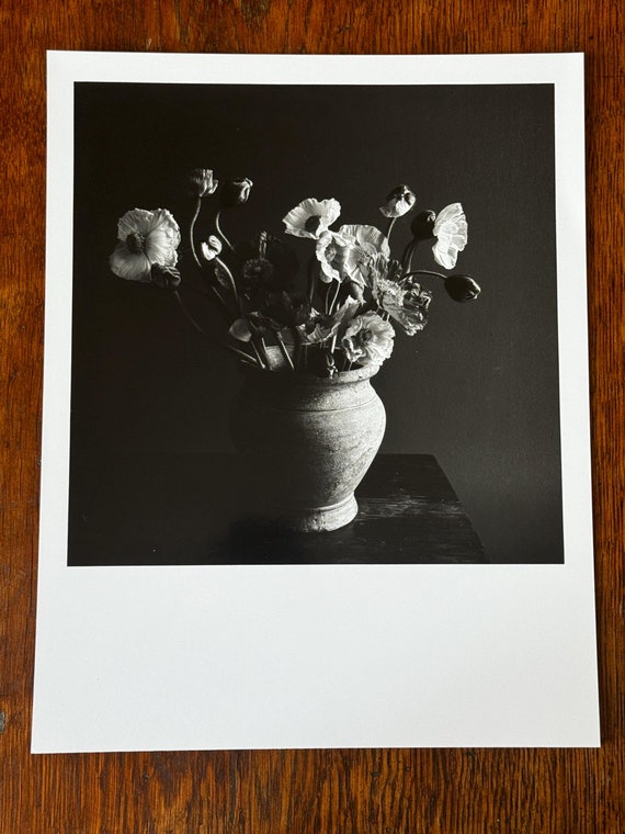 Iceland Poppies - Handmade Silver Gelatin Darkroom Print  9 1/2 x 12 in - 24 x 30 cm