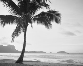 Lone Palm Tree, Palawan, Filipijnen - Handgemaakte zilveren gelatine donkere kamerprint 9 1/2 x 9 1/2 in - 24 x 24 cm