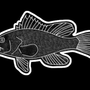 Black Sea Bass Neon Design Sticker
