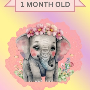 Joli bébé éléphant 1-12 mois cartes flash importantes Télécharger l'art mural 4x6inch
