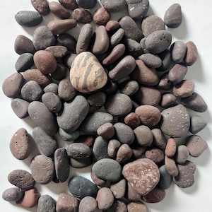 May include: A collection of smooth, rounded stones in various shades of gray, brown, and reddish-brown. The stones vary in size and shape, with a few featuring unique patterns and textures. The arrangement is scattered, creating a natural, earthy aesthetic.