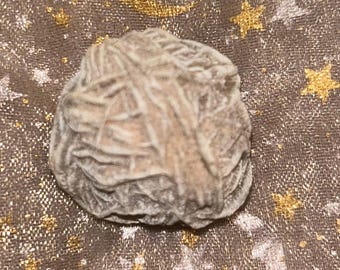 cristallo di selenite rosa del deserto