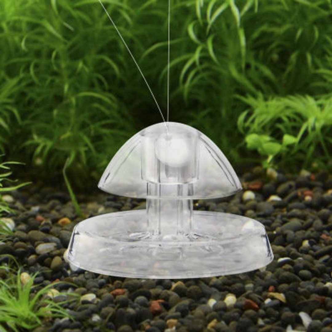 Aquarium Snail Traps Aquarium Accessories Etsy