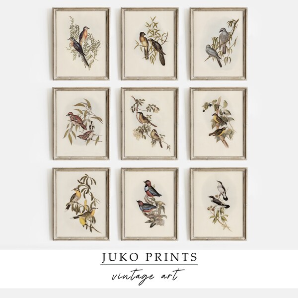 Wall Gallery - Etsy