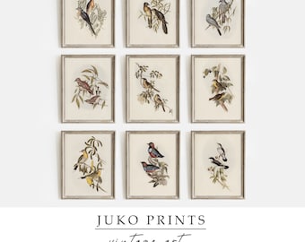 Printable Birds Art | Vintage Gallery Wall Set Of 9 (Nine) Prints | Vintage Birds Paintings For Home Decor | Digital Prints | Set915