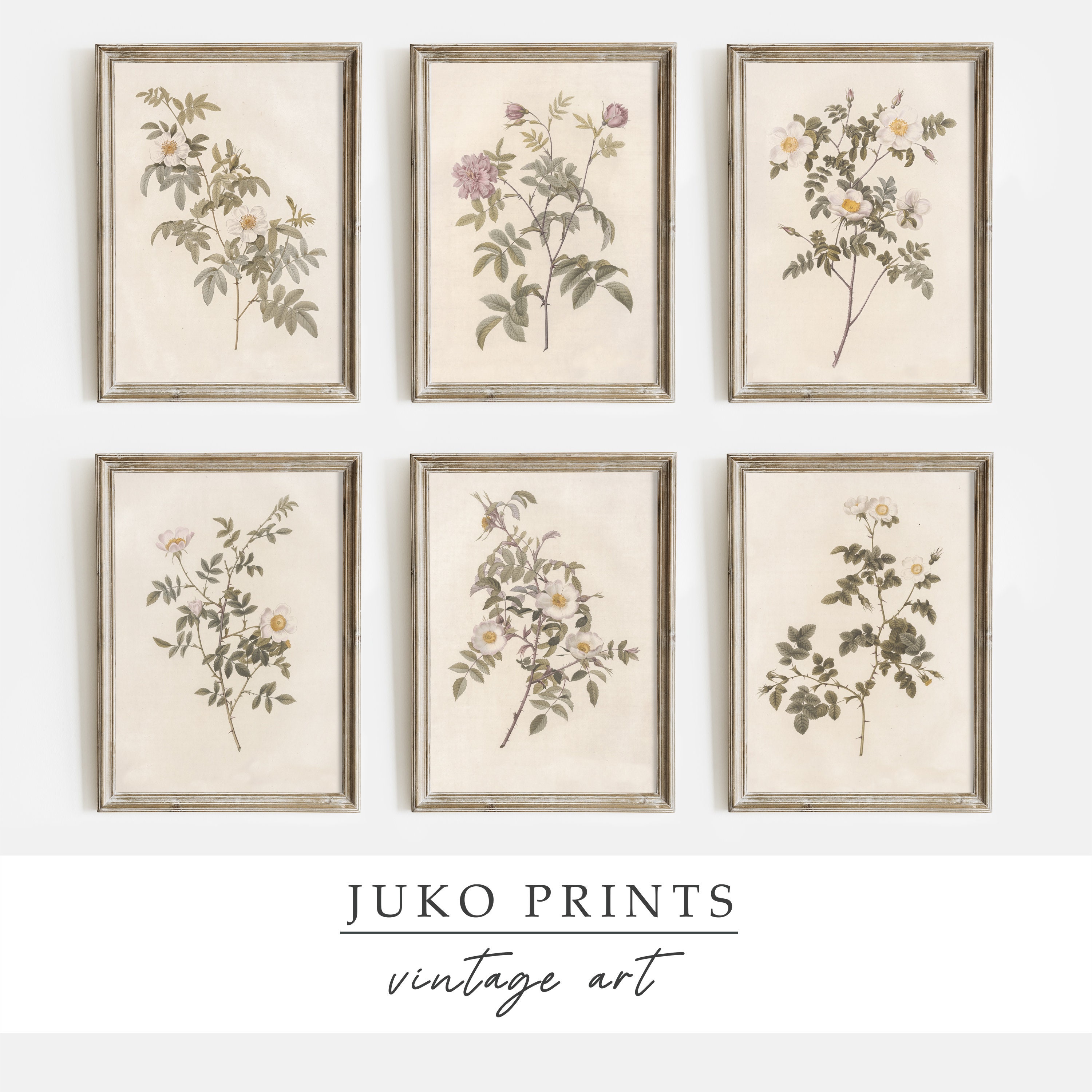 Vintage Farmhouse Gallery Wall Botanical Print Set Set of 6 six Prints ...