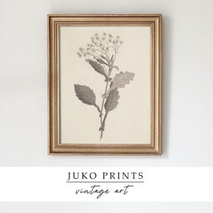 Printable Wall Art Vintage Gallery Set of 6 six Botanical Paintings for ...
