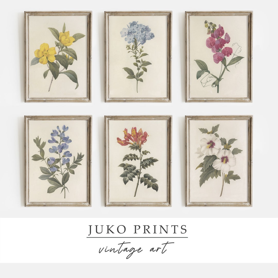 Buy Printable Vintage Gallery Wall Art Set of 6 six Botanical Paintings ...