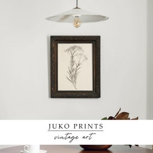 Printable Wall Art Vintage Gallery Set of 6 six Botanical Paintings for ...