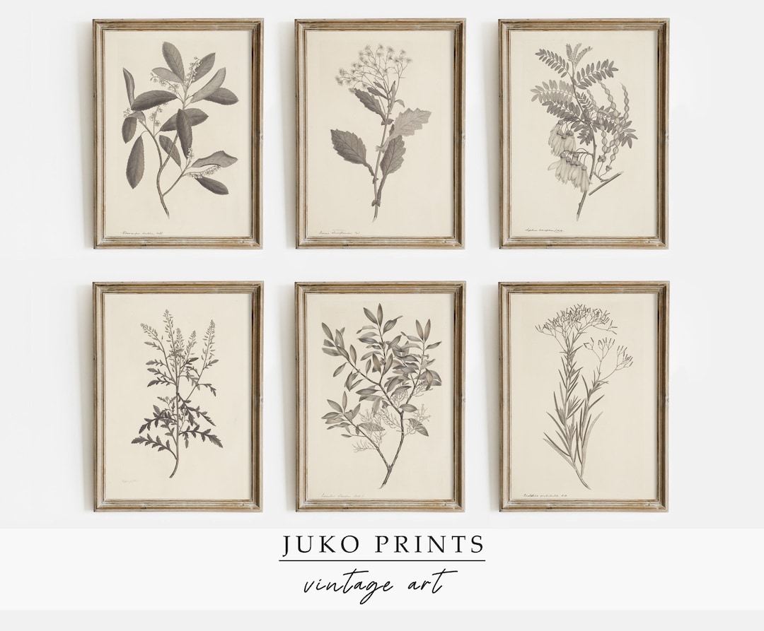 Printable Wall Art Vintage Gallery Set of 6 six Botanical Paintings for ...