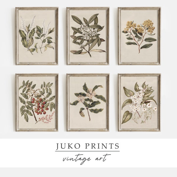 Printable Wall Art Vintage French Country Gallery Set Of 6 (Six) Botanical Paintings For Home Decor | Digital Downloadable Art | Set611