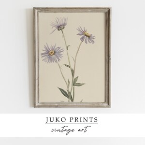 Printable Vintage Gallery Wall Art Set of 6 six Botanical - Etsy