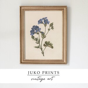 Printable Wall Art Set of 8 eight Prints Vintage Paintings for Home ...