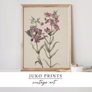 Printable Vintage Gallery Wall Art Set of 6 six Botanical - Etsy
