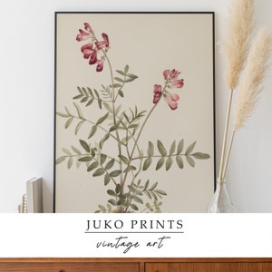 Printable Vintage Gallery Wall Art Set of 6 six Botanical - Etsy
