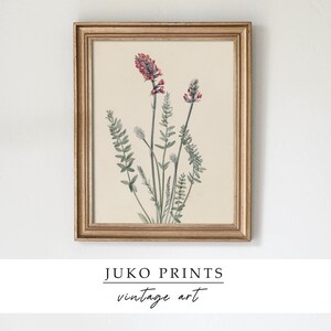 Printable Vintage Gallery Wall Art Set of 6 six Botanical - Etsy