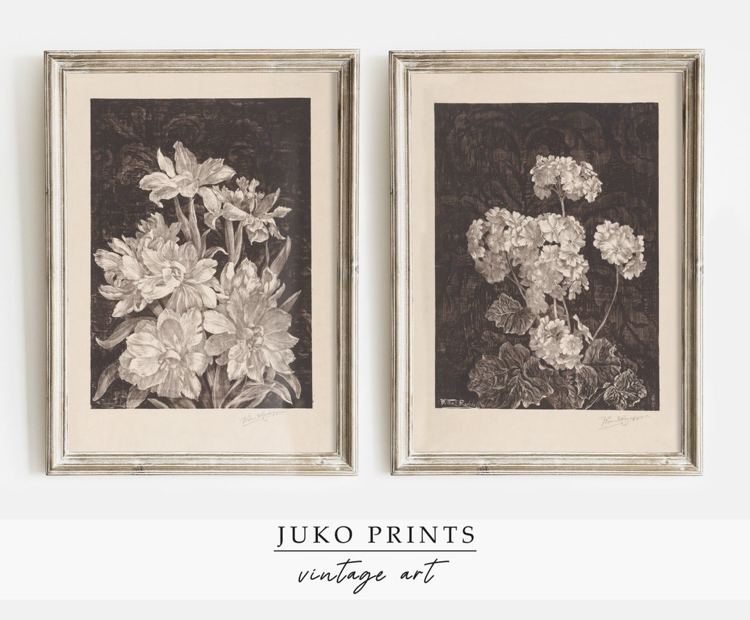 Printable Wall Art Set of 2 two Prints for Home Decor Vintage Gallery