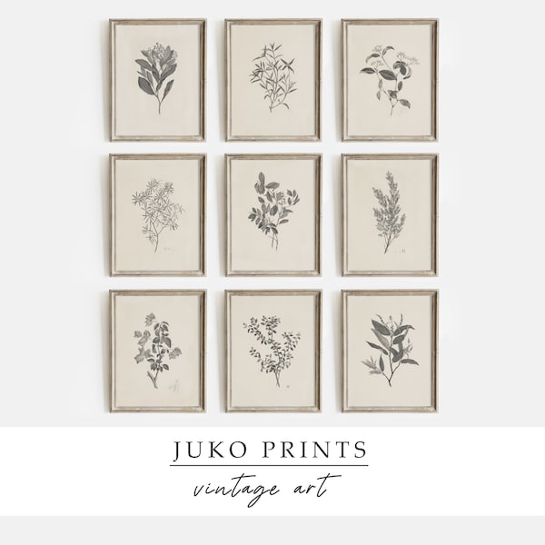 Printable Wall Art Set Of 9 (Nine) Prints With Vintage Botanical Paintings For Home Decor | Vintage Gallery Set | Digital Prints | Set922