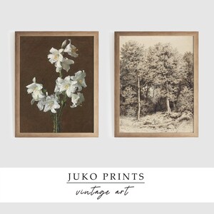Printable Wall Art Vintage Gallery Wall Art Set of 9 nine Paintings for ...