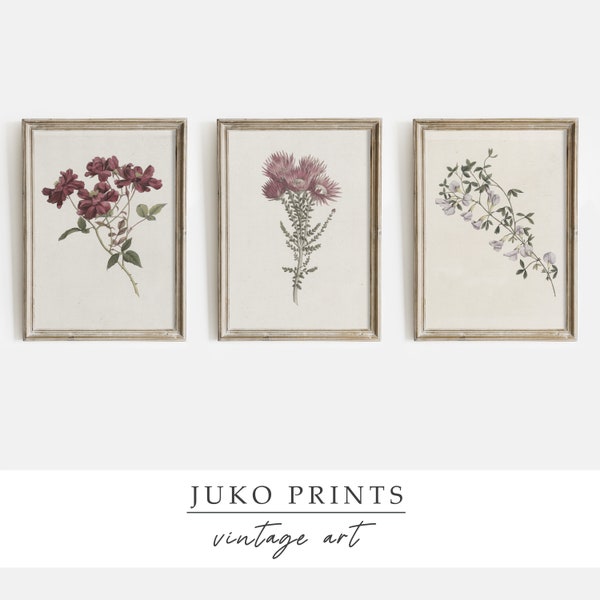 Printable Wall Art | Gallery Print Set Of 3 (Three) Botanical Vintage Paintings For Home Decor | Digital Art | Set310