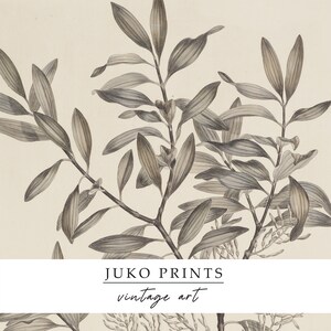 Printable Wall Art Vintage Gallery Set of 6 six Botanical Paintings for ...