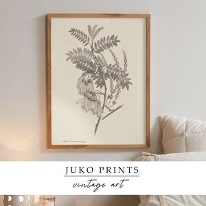 Printable Wall Art Vintage Gallery Set of 6 six Botanical Paintings for ...