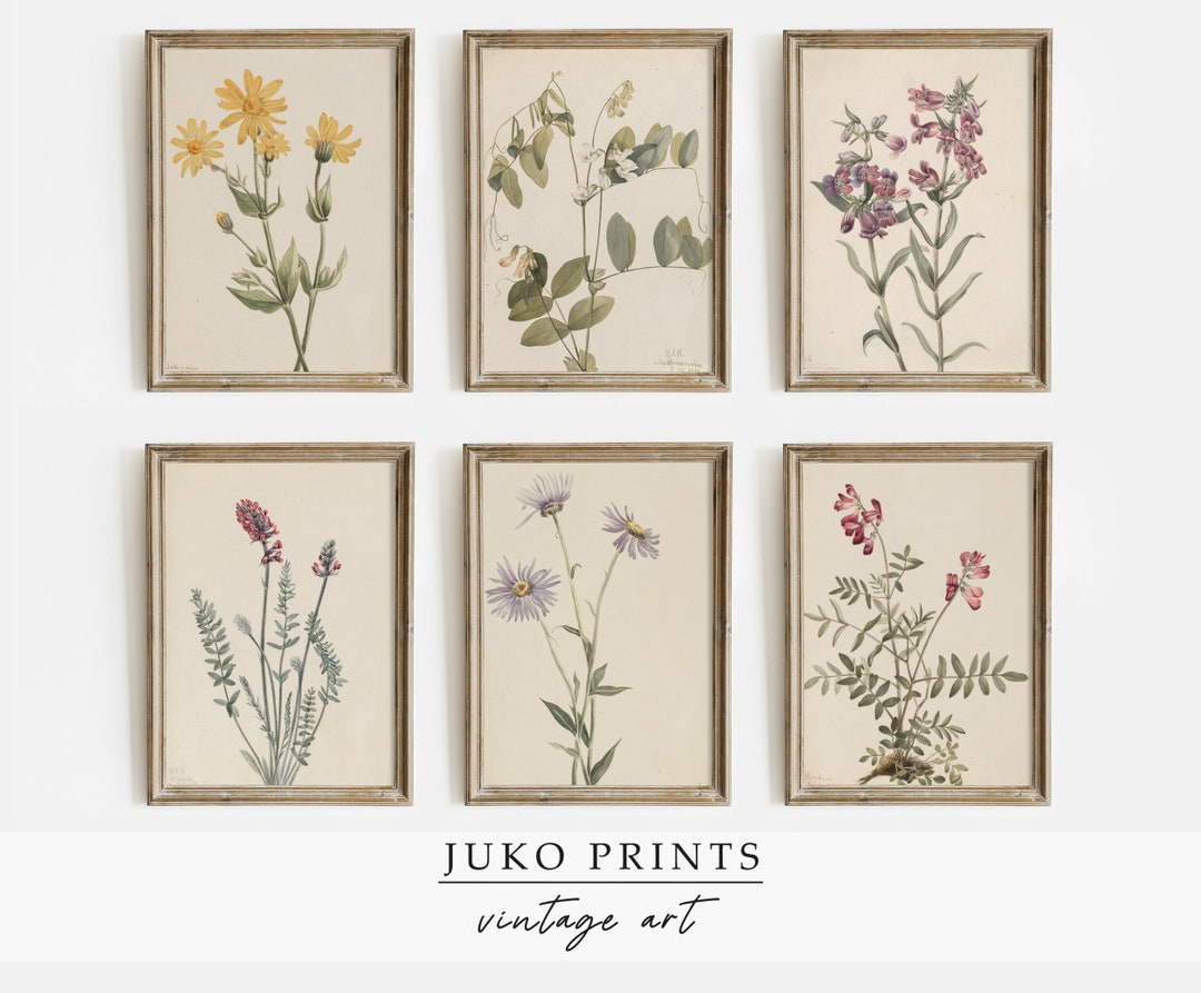 Printable Vintage Gallery Wall Art Set of 6 six Botanical Etsy