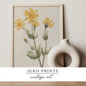 Printable Vintage Gallery Wall Art Set of 6 six Botanical - Etsy