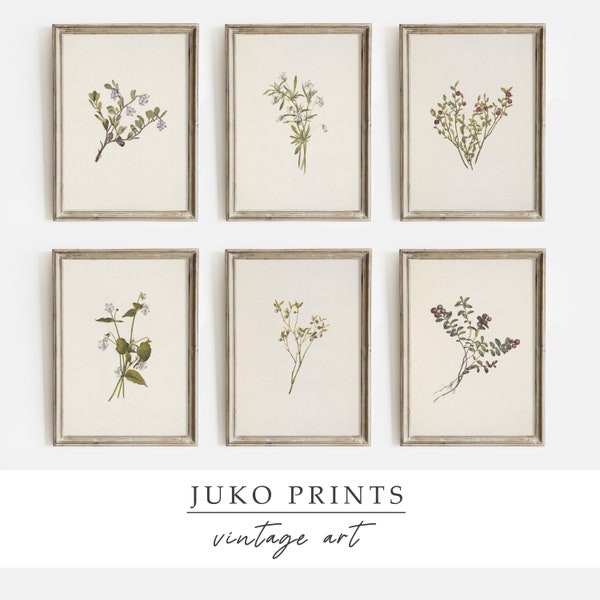 Vintage French Country Gallery Wall Art Set Of 6 (Six) Prints With Vintage Botanical Paintings | Digital Prints | Downloadable Art | Set607