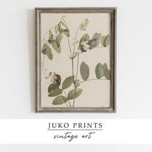 Printable Vintage Gallery Wall Art Set of 6 six Botanical - Etsy