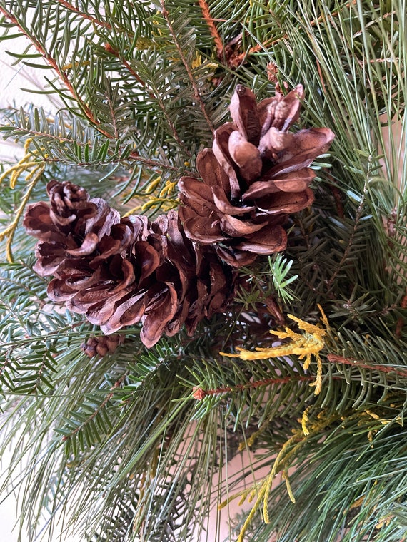 11 Long Christmas Spruce and Pinecone Large Pick Decoration