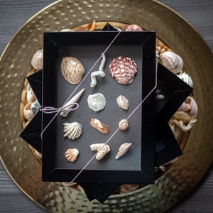 Hand Crafted Florida Beach Shell Shadow Boxes | Beach Decor | Coastal Decor | Shells | Shadow Box