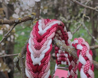 Hundehalsband aus Paracord