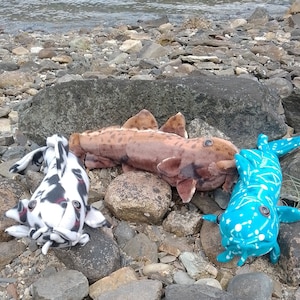 May include: Three plush shark toys on a rocky beach. One shark is brown and white, one is black and white, and one is blue and white.