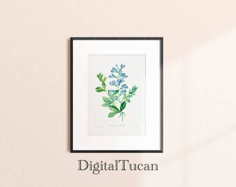 Floral Vintage Botanical Home and House Wall Art Gift for Her Digital Download File