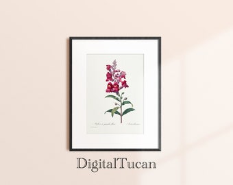 Vintage Home and House Decor Print Digital Floral Wall Art Download