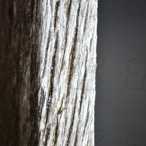 May include: Close-up of a weathered tree trunk with a rough, textured surface. The bark is a mix of light and dark brown, with a white, almost silvery, patina.
