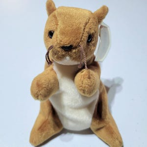 May include: A plush toy squirrel in shades of brown and cream. The squirrel has a soft, furry texture, with a white belly and a small tag attached to its ear. It has small, black eyes and brown whiskers.
