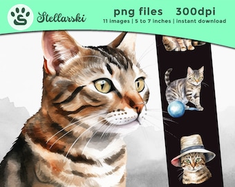 Tabby Cat Clipart, Tabby Kitten PNG, Tabby Cat Image, Cat Print, Cute Cat PNG, Cat Watercolor, Tabby Cat Wall Decor, Beautiful Cat lover