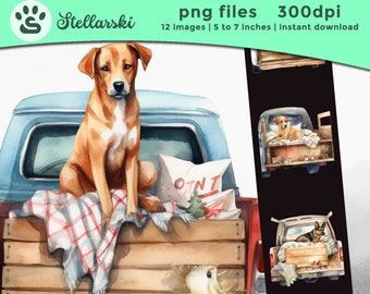 Cães em caminhões PNG, cães em carros clipart, caminhão de fazenda vintage, ilustração de caminhão antigo, clipart de cães, animais de fazenda, pacote de caminhão em aquarela