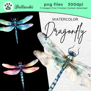 Watercolor Dragonfly PNG | Dragonfly Watercolor Clipart | Dragonfly Art | Watercolor Clipart | Insect Clipart | Full Commercial License