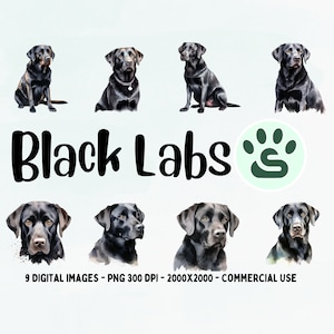 Watercolor Black Lab PNG | Labrador Retriever Puppies Clipart Collection |  Black Labrador Clipart | Dog Portrait | Sublimation Image Bundle