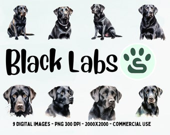 Watercolor Black Lab PNG | Labrador Retriever Puppies Clipart Collection |  Black Labrador Clipart | Dog Portrait | Sublimation Image Bundle
