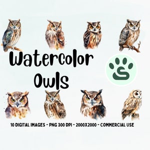 Chouette PNG | Chouette aquarelle | Oiseau mignon PNG | Clipart de hiboux aquarelle | Belle chouette SVG | Utilisation commerciale complète | Animal des bois | Effraie des clochers