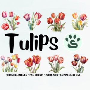 Colorful Tulips PNG | Spring Flowers Clipart | Watercolor Tulip PNG | Flowers Clipart | Wedding Invitations | Commercial Use | Nursery Art