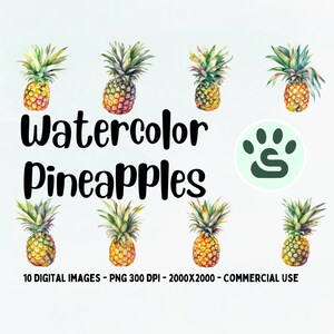 Clipart de abacaxi em aquarela | Frutas Tropicais PNG | arte com frutas | download instantâneo PNG | Uso Comercial | Ilustrações de frutas para impressão
