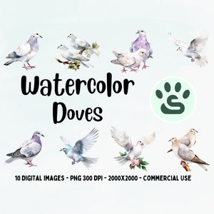 White Dove PNG / Clipart de aves de acuarela / Arte de la paloma de luto / Descarga digital instantánea / Sublimación de la paloma / Licencia comercial / Pareja