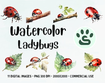Red Ladybug PNG | Ladybug Insect | Cute Colorful Ladybug PNG | Watercolor Ladybug Clipart | Lovely Ladybug Art | Full Commercial Use