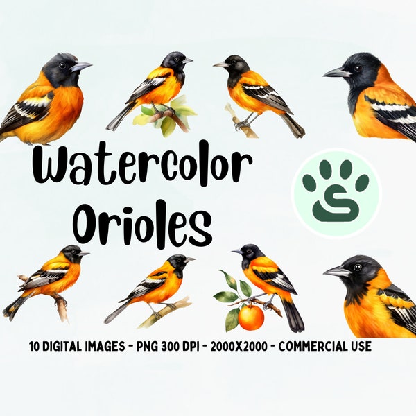 Baltimore Oriole PNG | Orange Oriole Bird | Cute Colorful Bird PNG | Watercolor Oriole Clipart | Lovely Oriole Painting | Commercial Use